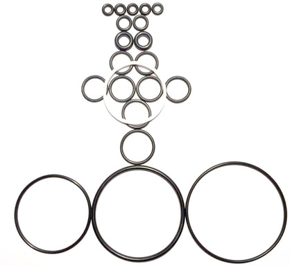10 Complete O-ring Kits fit Graco Fusion AP Air Purge 246355